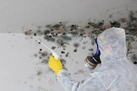 Best Air Quality Testing for Mold Spores  in Deltona, FL